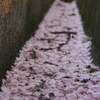 また来年