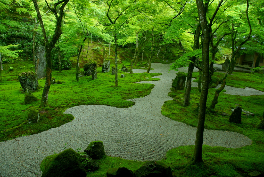 禅寺の緑