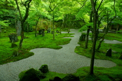禅寺の緑