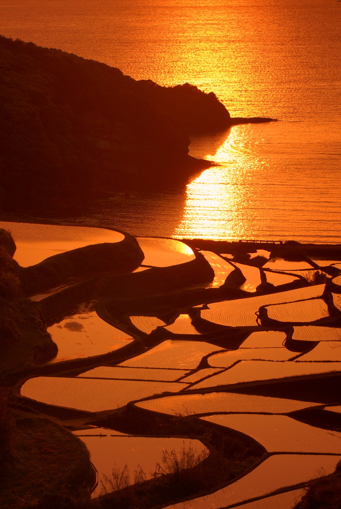 西の夕景