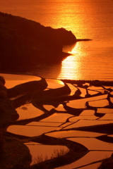 西の夕景