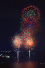 夜空の花