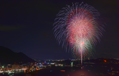 夏夜の花々