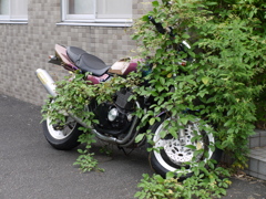 主に見捨てられて・・・・