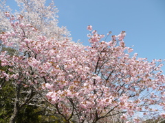 P1020785