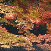 P1040029