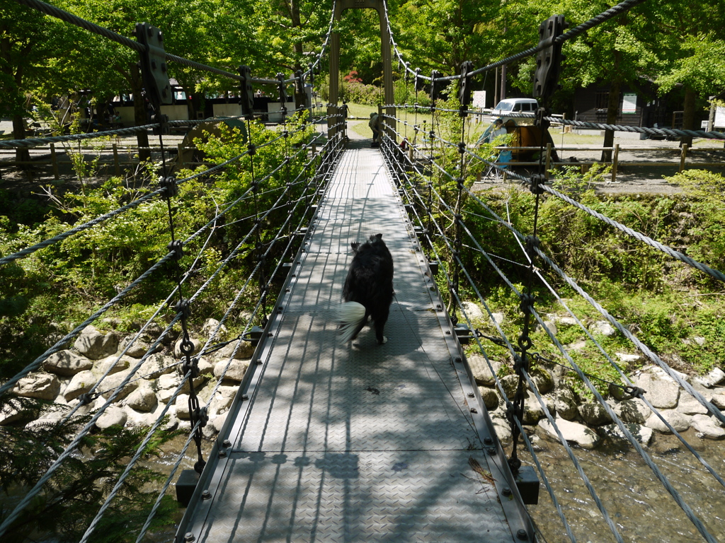 吊り橋