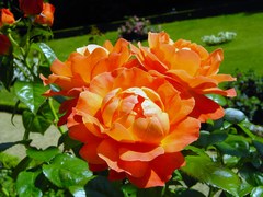 バガテル公園　