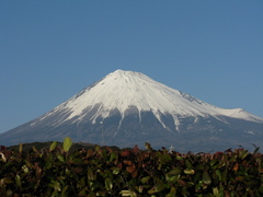 富士山　