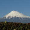 富士山　