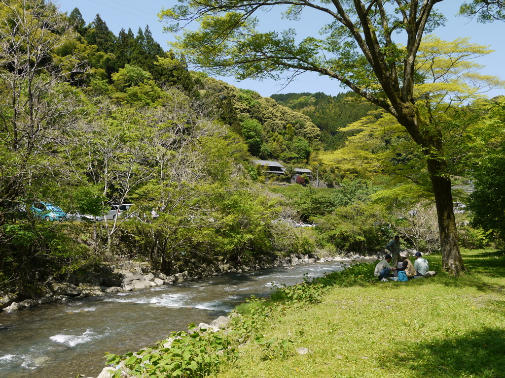 新緑の季節