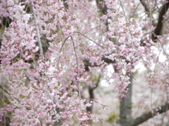 P1020319