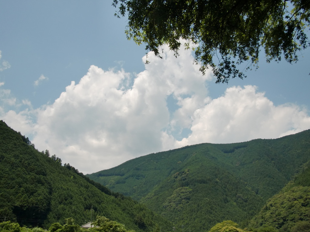 EX-G1 022　初夏　山　雲