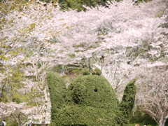 P1020348