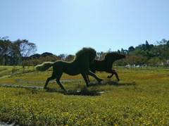 駆ける馬達