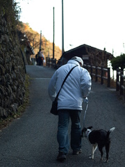 相棒