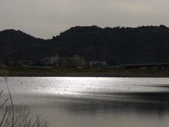 P1000987