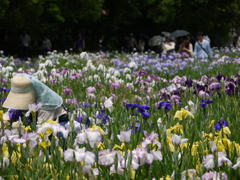 ２０１２加茂花菖蒲園 034