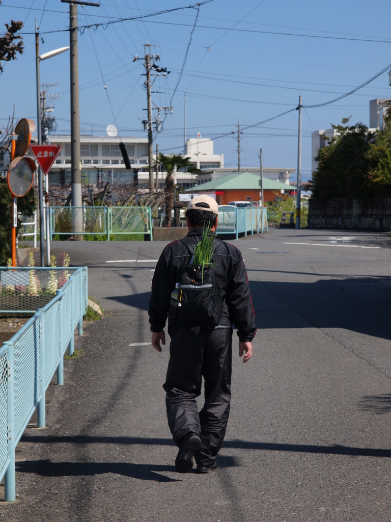 ねぎ