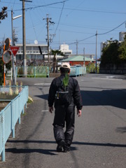 ねぎ