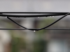 ケーブル