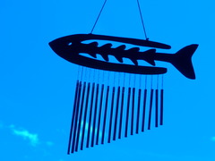空魚