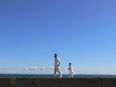 ついて来い