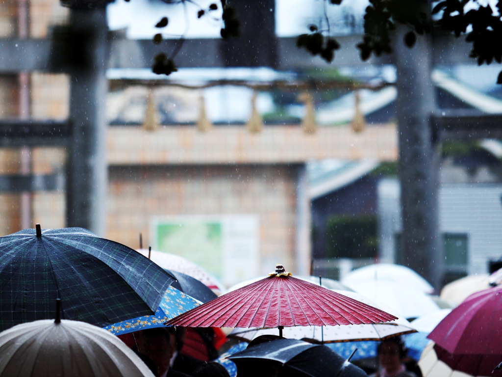 雨の日