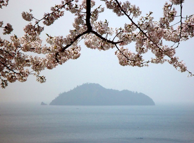 島影