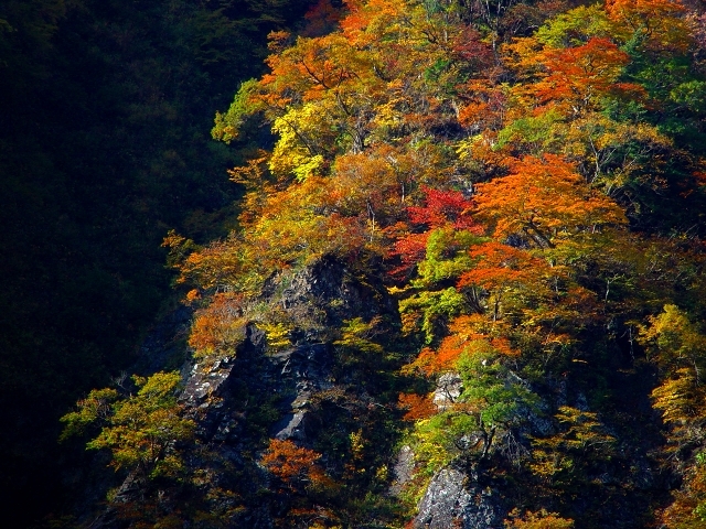 深山の紅葉