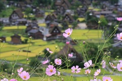 秋の白川郷