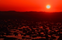 夕陽に染まる散居村　