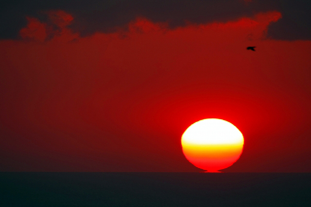 夕陽着水