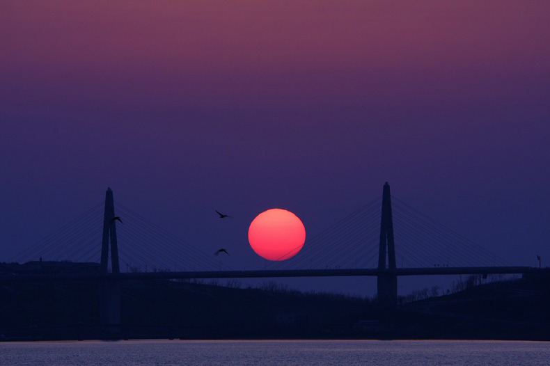 夕陽に舞う