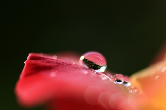 花雫 　2