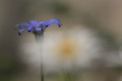 まぶしい春