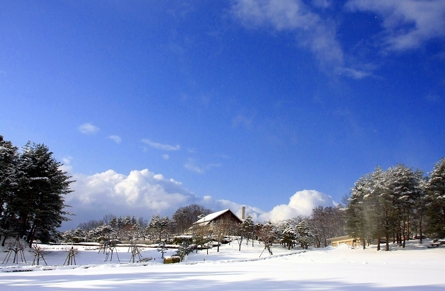 ひとときの晴れ間