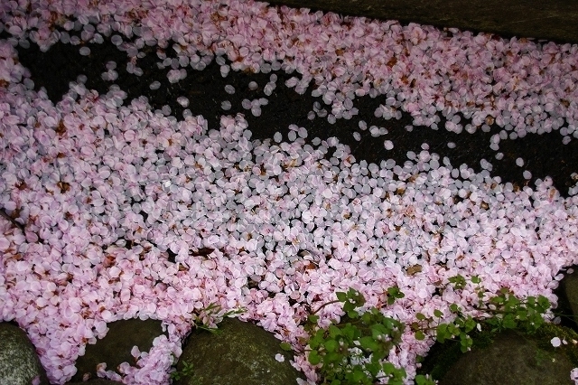 うつくしいままで