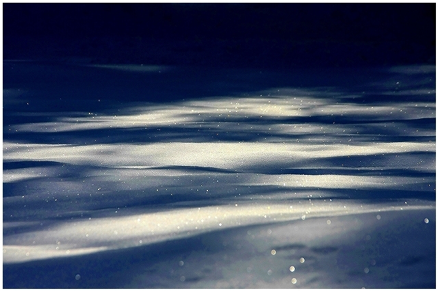 雪蛍