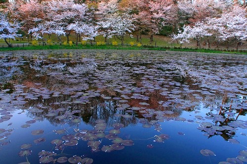 春風景