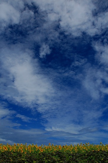 空を見上げて