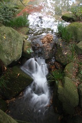 成田山境内　-1