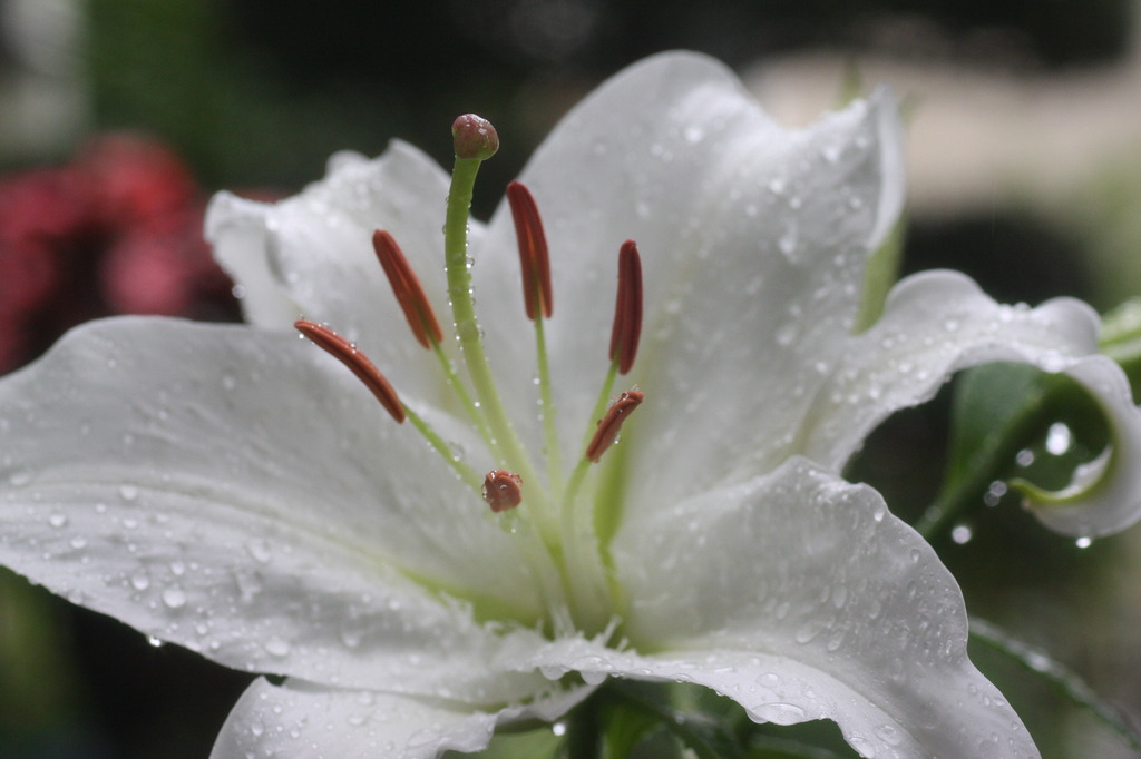 雨の中・・・