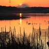夕陽