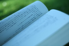 読書もまた楽し