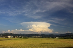 待っていた雲