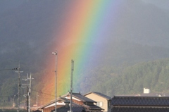 虹左端