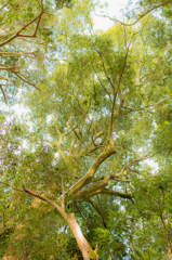 目に映ったイメージ