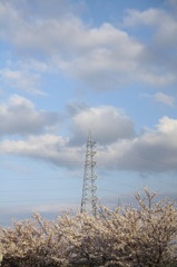 春の鉄塔、さすらいの雲