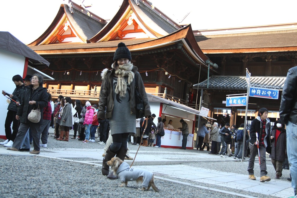 2010明けましておめでとうございます。